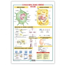 Canlıların  Temel  Birimi  Hücre