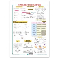 Canlıların  Temel  Bileşenleri Levhası